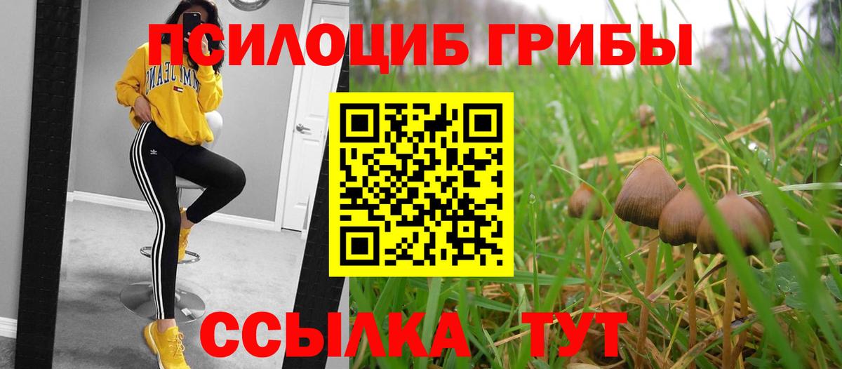Псилоцибиновые грибы Psilocybine cubensis  Вход с VPN  как найти   Анжеро-Судженск  Галлюциногенные грибы Psilocybine cubensis 